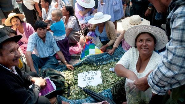 ¿Control social o regulación disimulada? Lecciones de Cochabamba (Bolivia) para Colombia