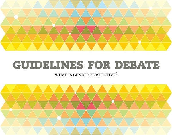 Guidelines for debate: What is gender perspective?