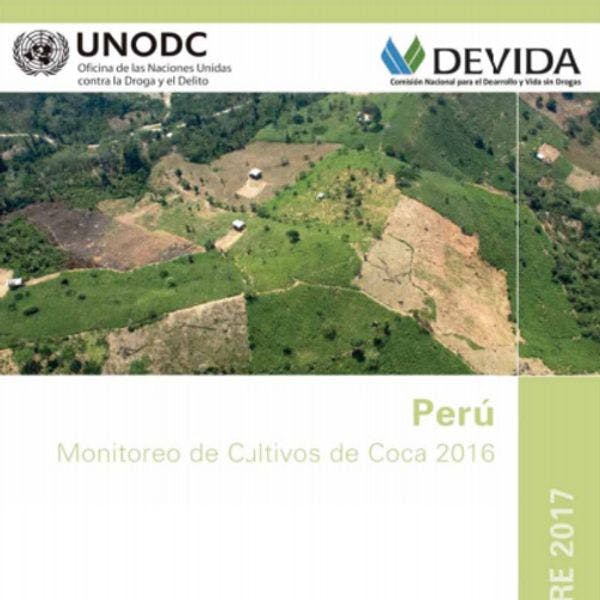 Coca Crop Monitoring Report 2016