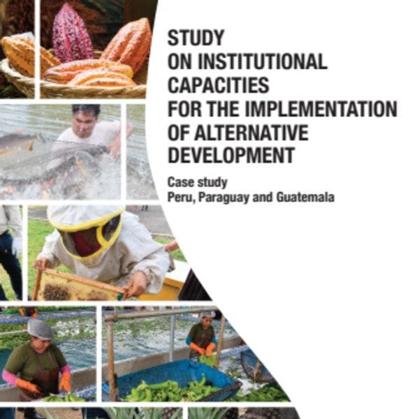 Estudio sobre capacidades institucionales para la implementación del desarrollo alternativo