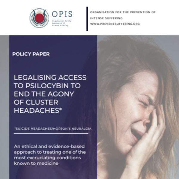 Legalising access to psilocybin to end the agony of cluster headaches