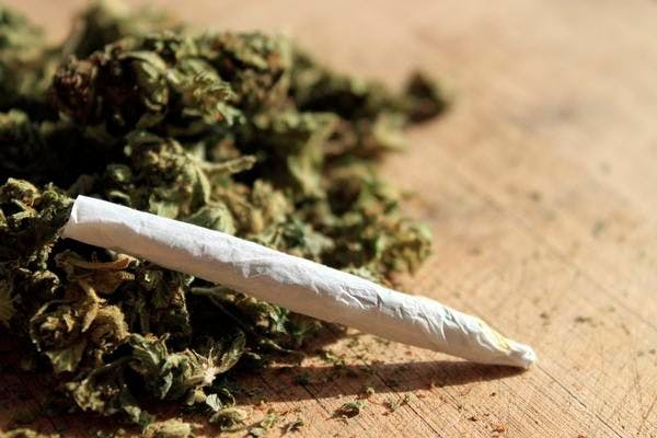 Bulgaria sigue a los Estados Unidos en la legalización de la marihuana