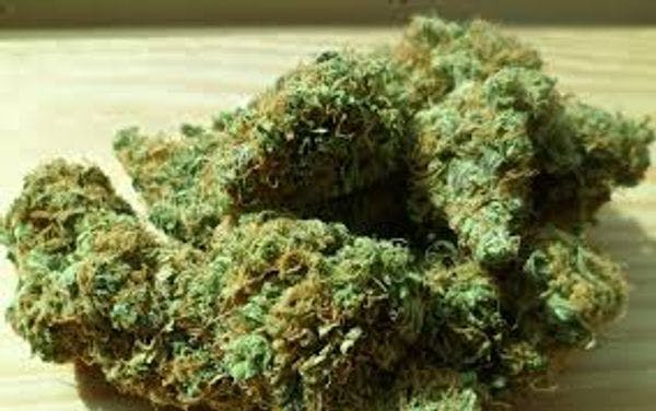 La salud prohibida y ciertos avances en el uso medicinal del cannabis en Argentina 