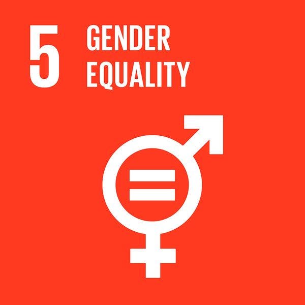 Jointly supporting gender mainstreaming in the implementation of the 2030 Sustainable Development Agenda