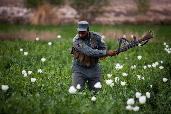 Two charts that prove the Afghan drug war is a total failure