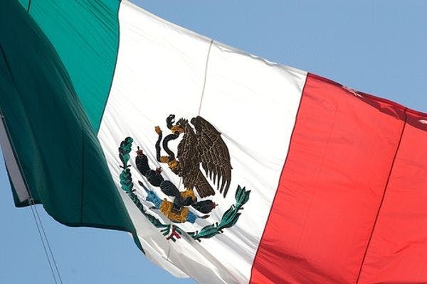 The state of citizen security in Mexico: 2014 in review and the year ahead
