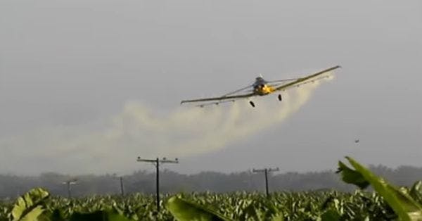 ¿Por qué el Gobierno colombiano no debería retomar las fumigaciones aéreas con glifosato?