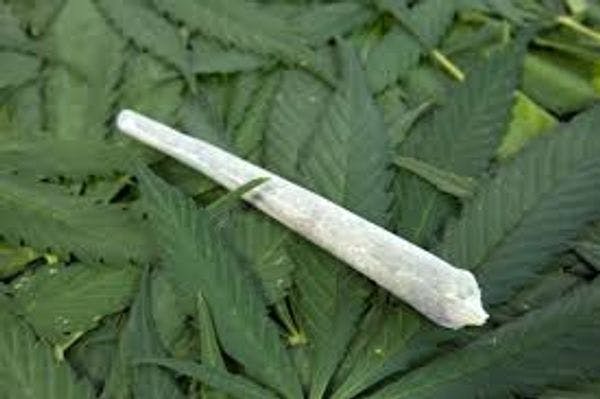 El Washington DC legaliza la marihuana