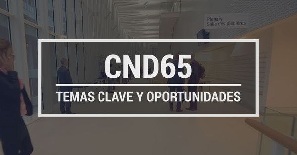 CND 65: Temas clave y oportunidades
