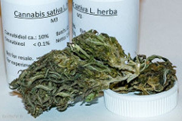 Switzerland aims to legalise medical marijuana