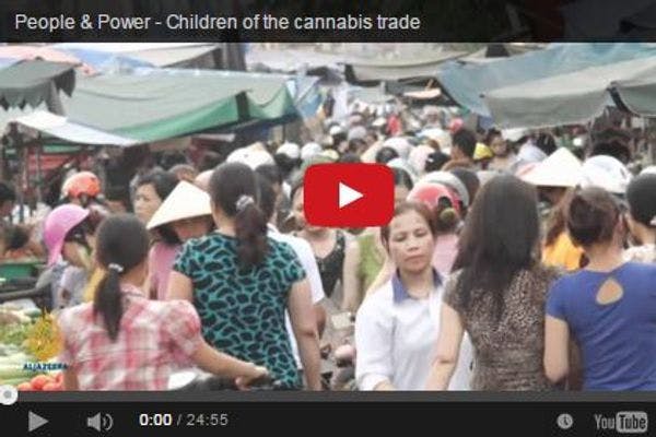Al Jazeera documentary - Children of the cannabis trade 