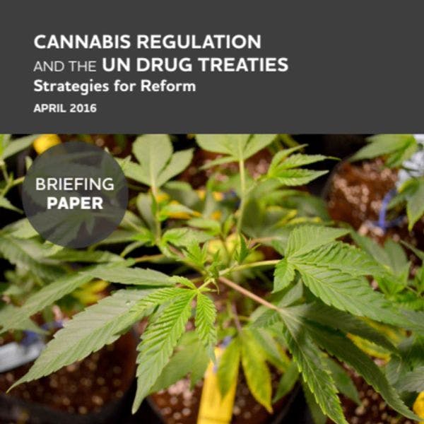 La régulation du cannabis et les traités des Nations Unies en lien avec la drogue: Stratégies de réforme 