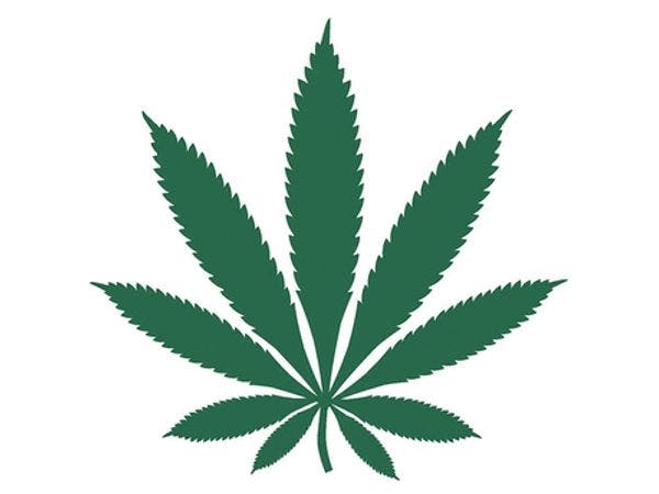 El Parlamento de Jamaica da el visto bueno a la descriminalización del cannabis