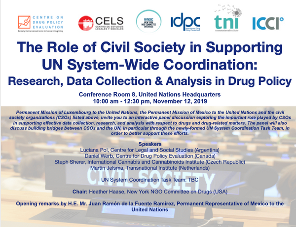 The Role of Civil Society in Supporting UN System-wide coordination: research, data collection, and analysis in drug policy