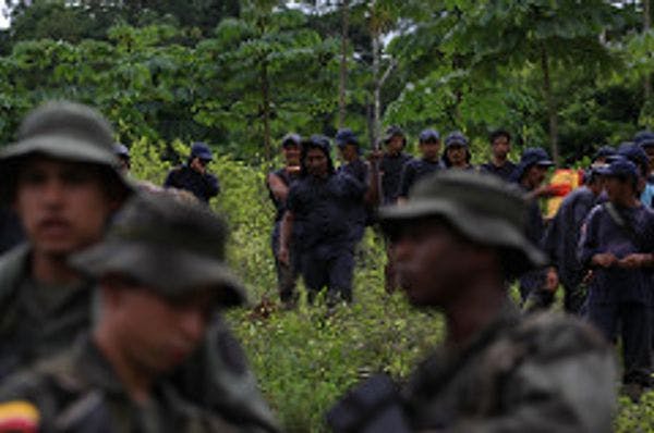 Colombia’s contradictory return to coca fumigation