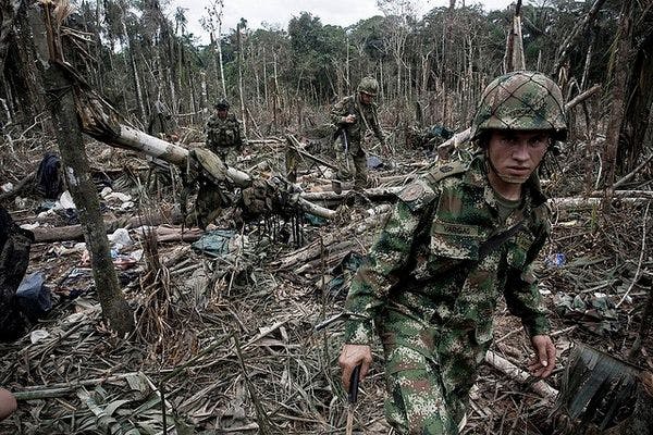 Las razones del aumento de la coca en Colombia