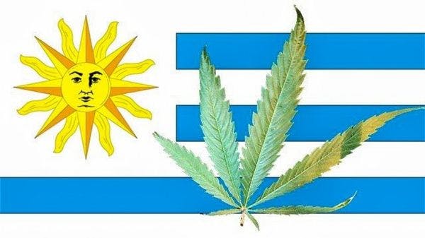 Uruguay's government may become first to sell marijuana