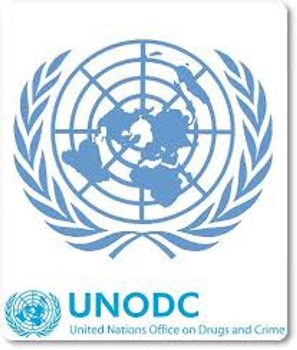 La ONUDD e Italia ponen en marcha una iniciativa para promover normas internacionales sobre la prevención del consumo de drogas