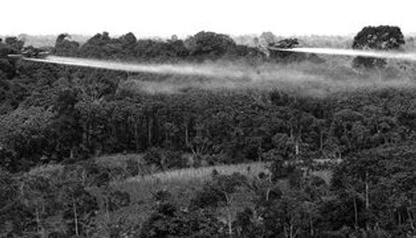 Informe de OMS que relaciona glisofato con cáncer podría alterar la políticas de erradicación de coca en Colombia
