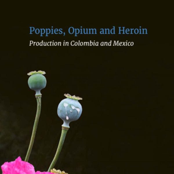 Pavot à opium, opium et héroïne: production en Colombie et au Mexique