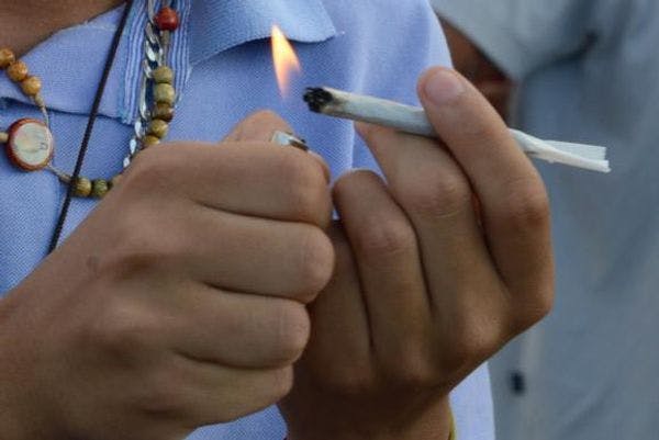 Marijuana legalisation under debate at Senate in Brazil