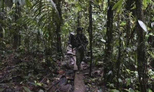 Foro sobre las drogas ilícitas en los acuerdos de paz entre el gobierno colombiano y las FARC