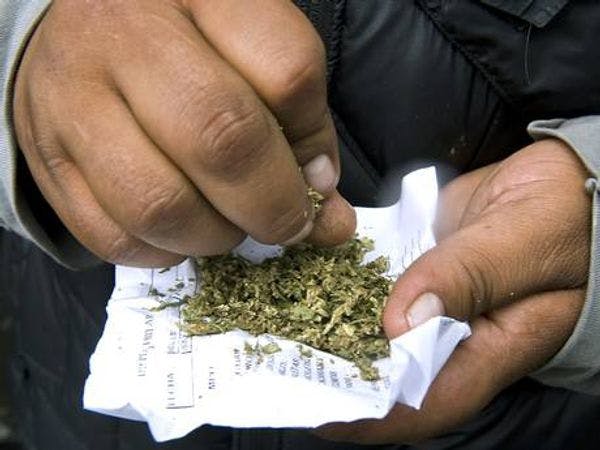 Diputados uruguayos votan legalización de cultivo y venta de marihuana