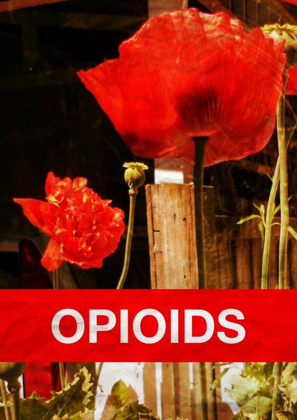 La crisis de los opioides en los Estados Unidos: el principal encargado de la salud pública defiende el acceso a un antídoto para las sobredosis