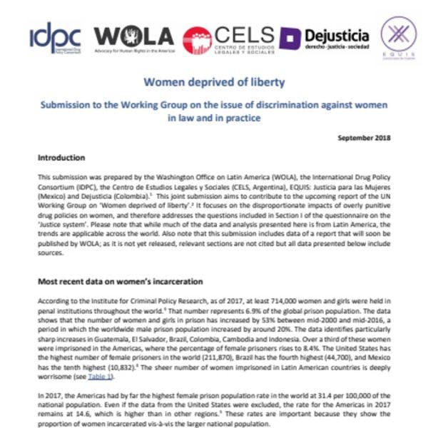 Women deprived of liberty: Joint submission to the OHCHR Working Group on the issue of discrimination against women