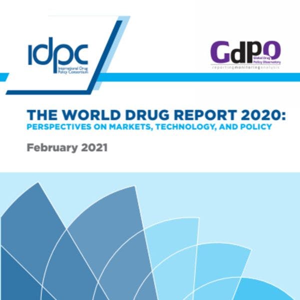 The World Drug Report 2020: Perspectives on markets, technology, and policy