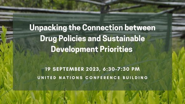 Beyond prohibition: Unpacking the connection between drug policies and sustainable development priorities