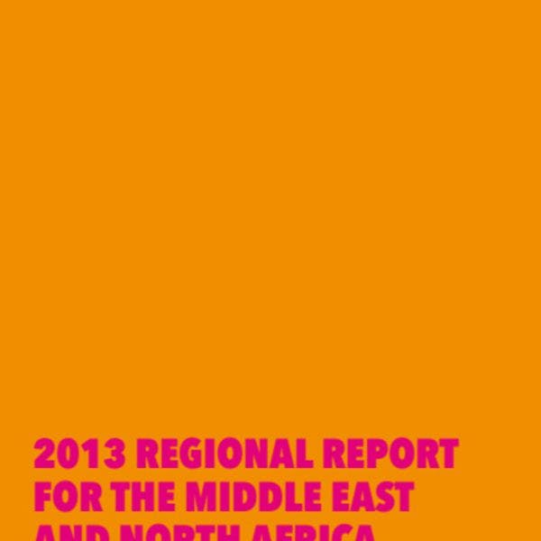 2013 regional report for the Middle East and North Africa 
