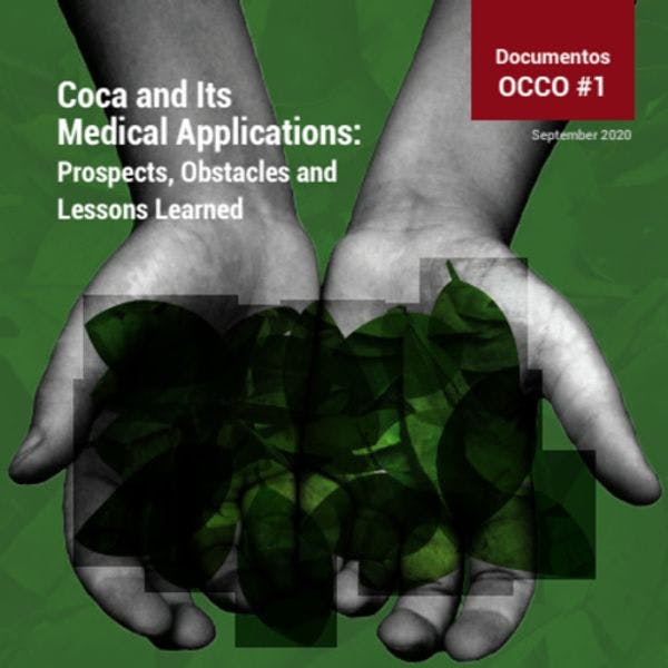 Coca and its medical applications:  Prospects, obstacles and lessons learned
