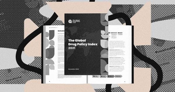 This platform translates the complex drug policies of 30 countries into a sleek, accessible site