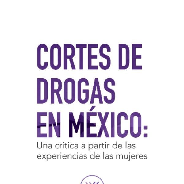 Cortes de Drogas en México: una crítica a partir de las experiencias de mujeres