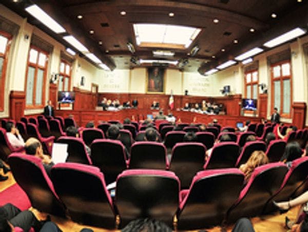 OSC de América Latina presentan amicus curiae ante Suprema Corte de Justicia de la Nación sobre caso de cannabis [México]