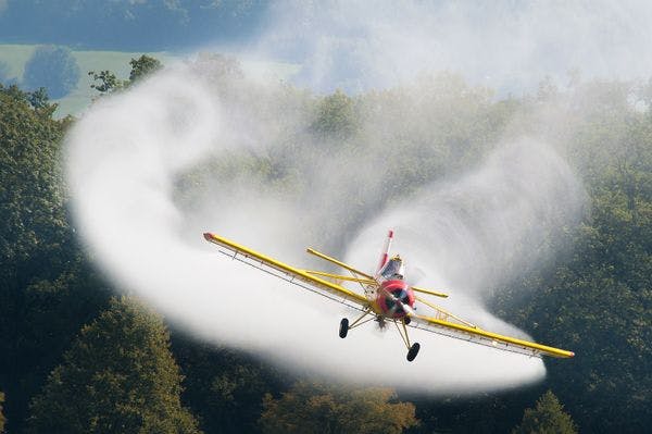¿Reanudará Colombia la fumigación aérea de cultivos de coca? | Drugreporter Café