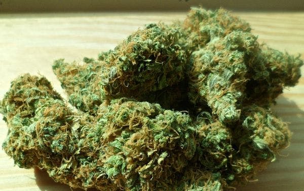 California recreational marijuana initiative will be on the November ballot