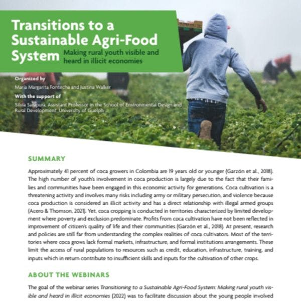 Transiciones a un sistema agroalimentario sostenible: Jóvenes visibles y escuchados en las economías ilícitas
