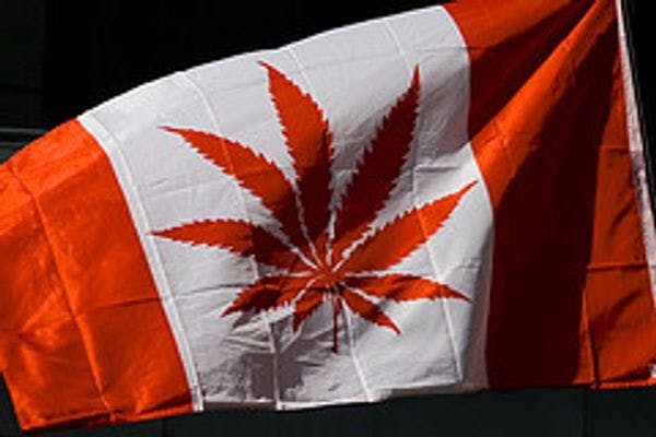 All forms of medical marijuana are legal, Canadian court rules