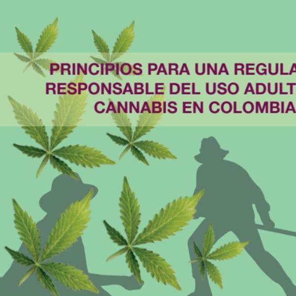 Principios para una regulación responsable del uso adulto del cannabis en Colombia