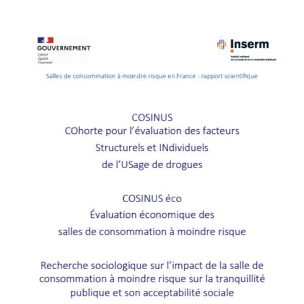Salles de consommation à moindre risque en France : rapport scientifique