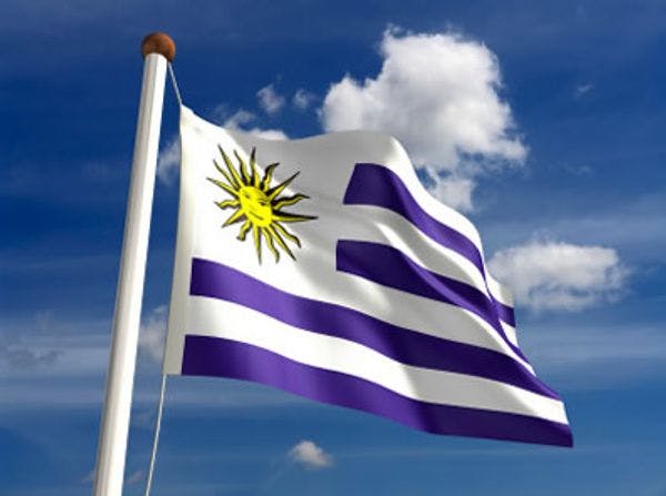 Expertos y autoridades debaten en Uruguay política internacional de drogas