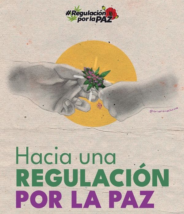  Hacia una regulación por la paz: Recomendaciones para una ley de cannabis con justicia social en México