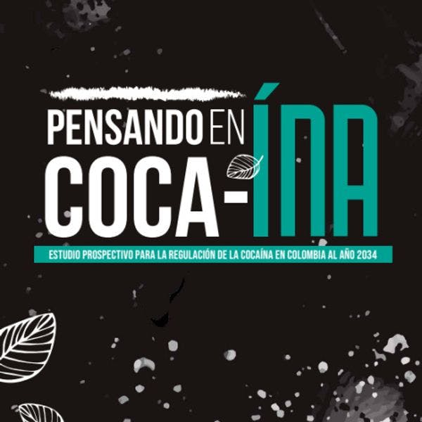 Pensando en cocaína: Estudio prospectivo para la regulación de la cocaína en Colombia al año 2034