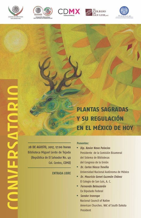 Plantas sagradas y su regulación en el México de hoy