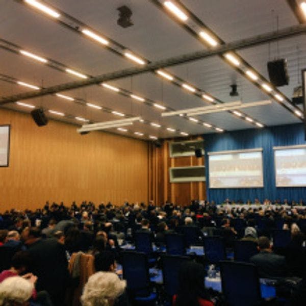CND 64th Session Reconvened
