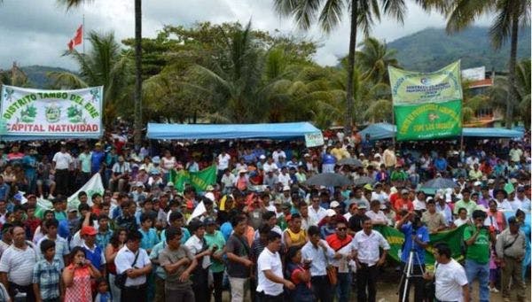 Perú: “Población siente que la erradicación de la coca es una amenaza a su economía”