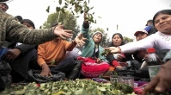Objections to Bolivia's reservation to allow coca chewing in the UN conventions