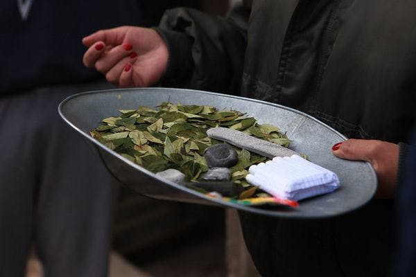 Colombia, Bolivia to ask UN to remove coca leaf from narcotics list